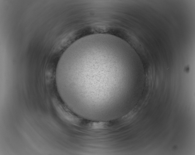 X0000116650134200912291624