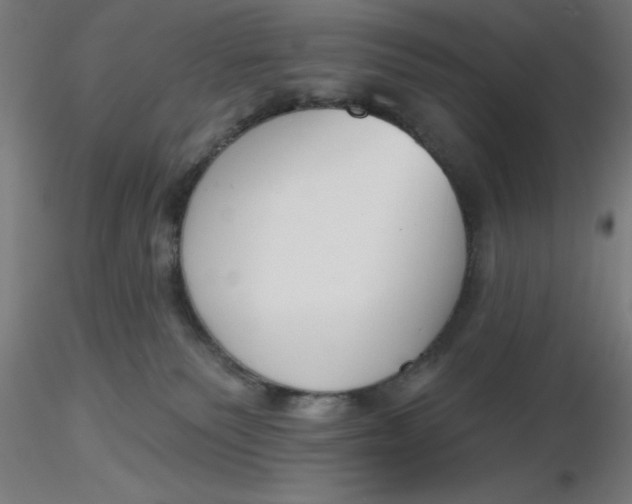 X0000116650135200912291624