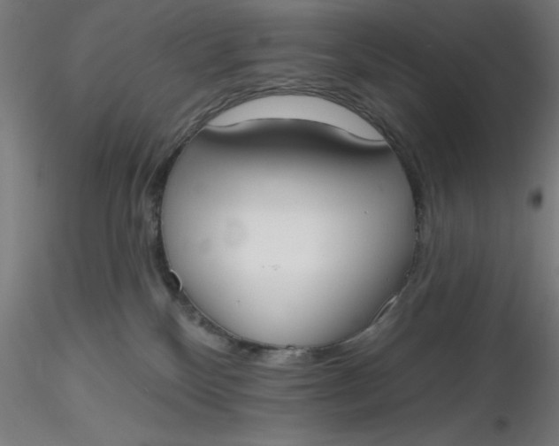 X0000116650136200912291624