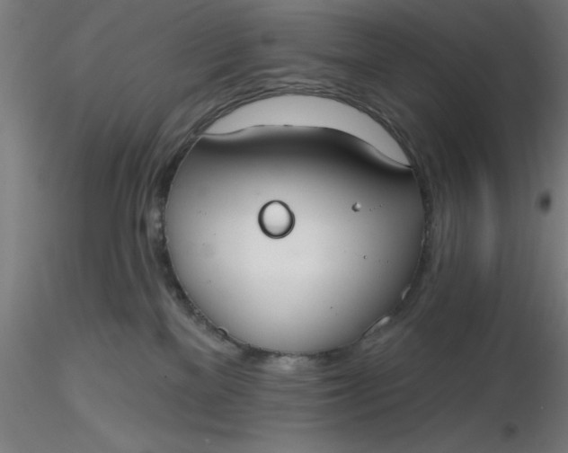 X0000116650137200912291624