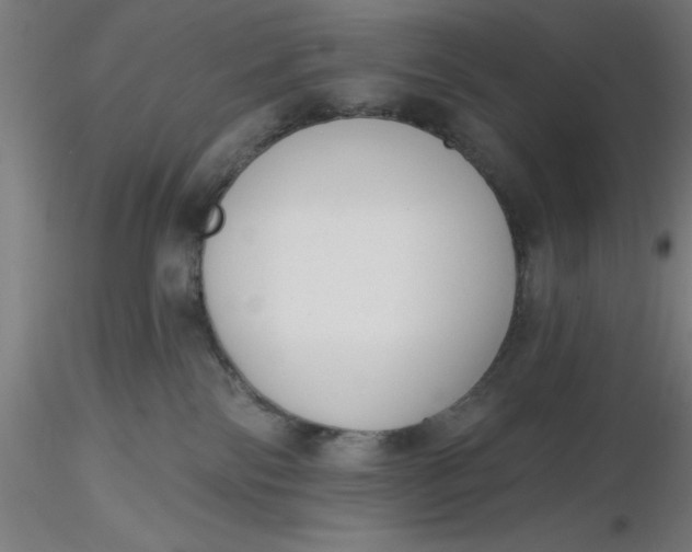 X0000116650138200912291624