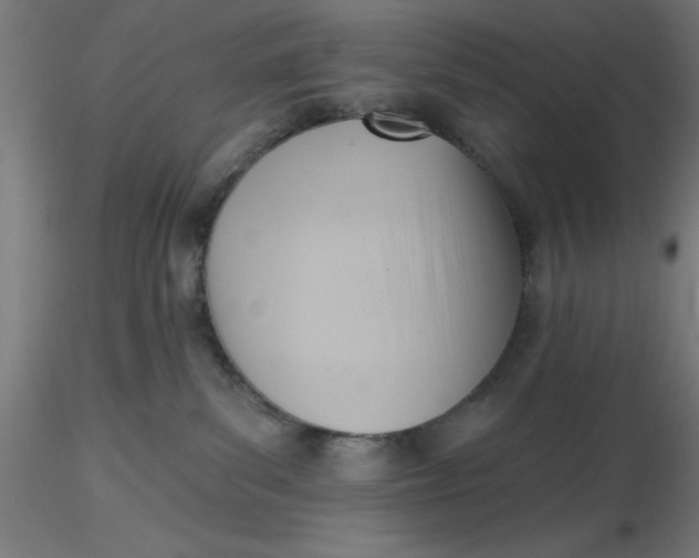 X0000116650139200912291624