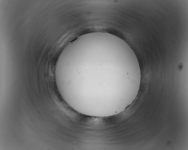 X0000116650140200912291624