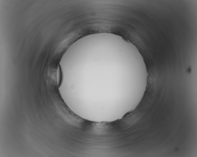 X0000116650141200912291624