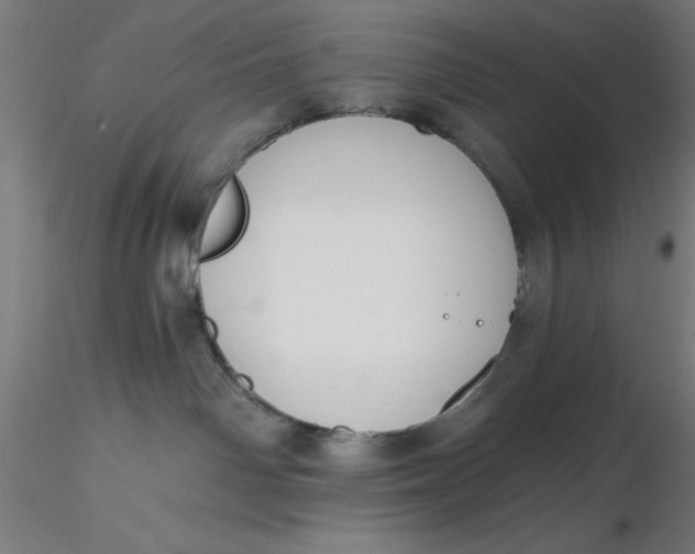 X0000116650142200912291624