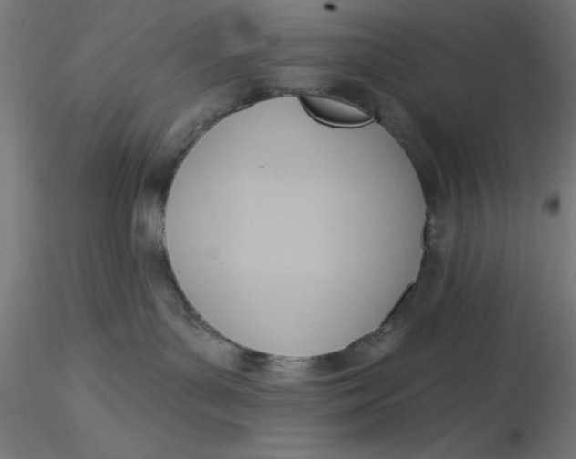 X0000116650143200912291624