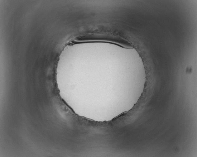 X0000116650144200912291624