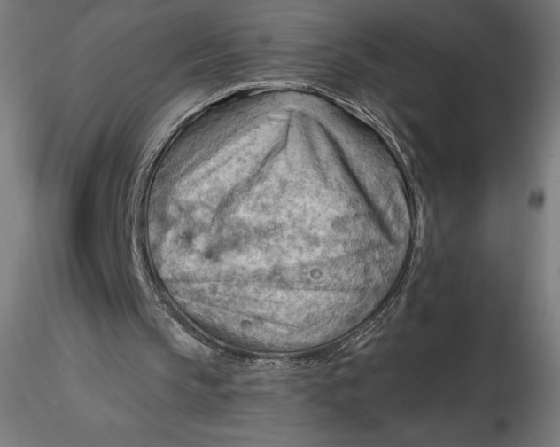 X0000116650145200912291623