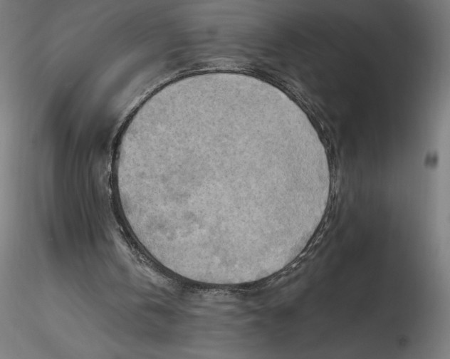 X0000116650146200912291623