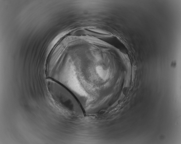 X0000116650147200912291623