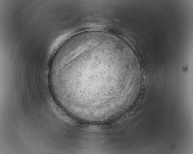 X0000116650149200912291623