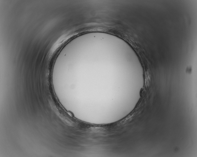 X0000116650150200912291623