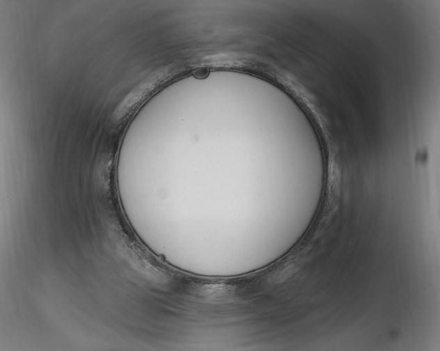 X0000116650153200912291623