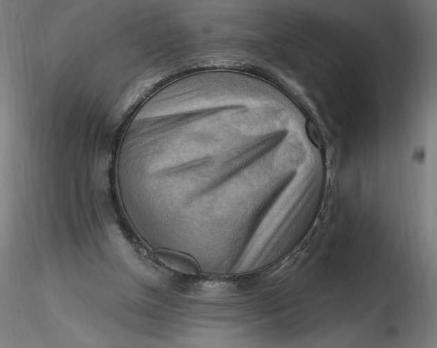 X0000116650154200912291623