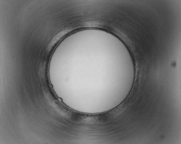 X0000116650155200912291623