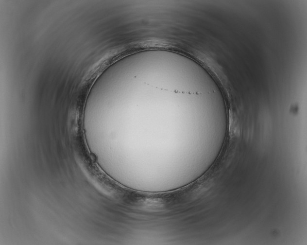 X0000116650157200912291623