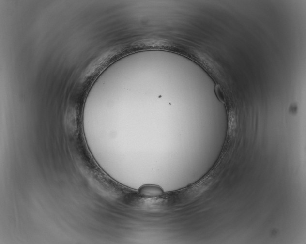 X0000116650158200912291623