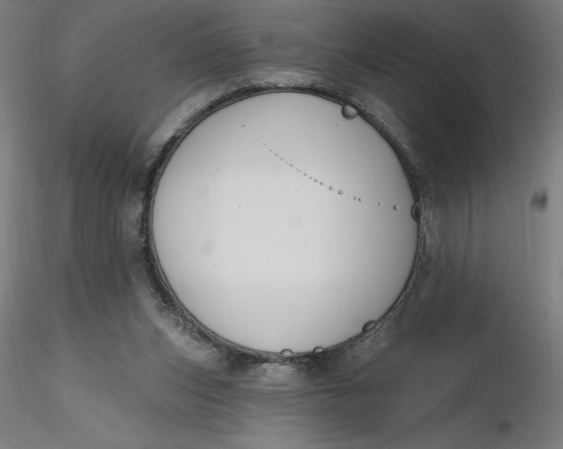 X0000116650159200912291623