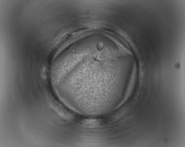 X0000116650161200912291623