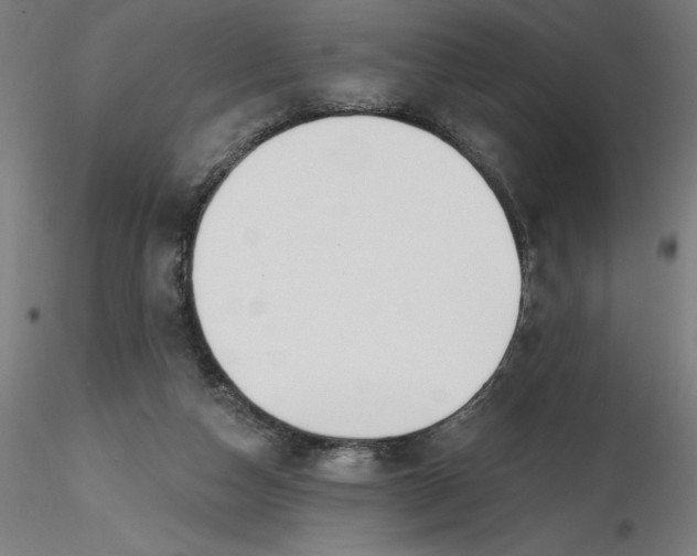 X0000116650162200912291623