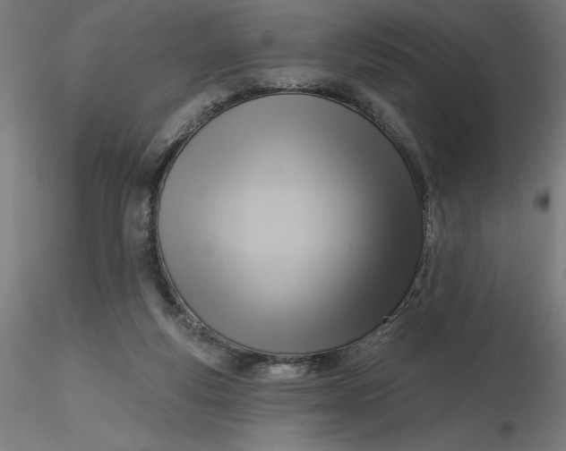 X0000116650163200912291623