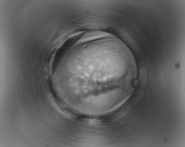 X0000116650165200912291623