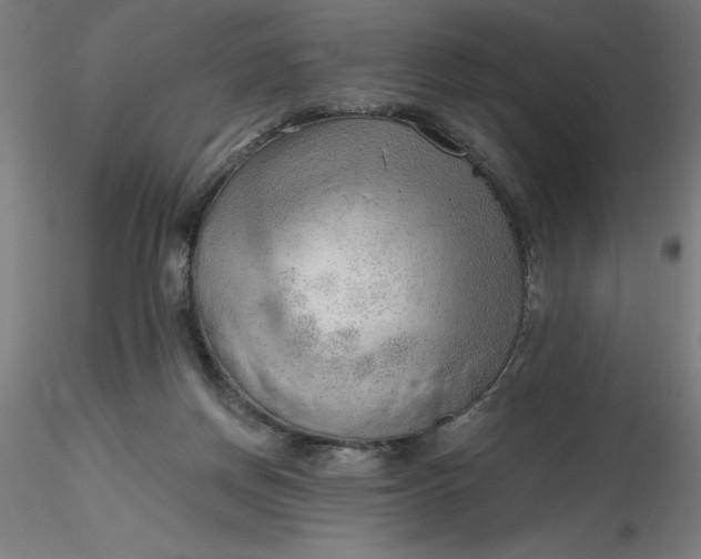 X0000116650166200912291623