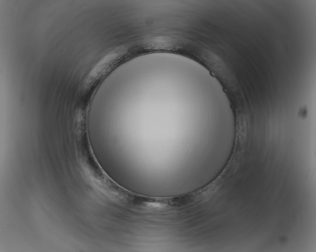 X0000116650167200912291623