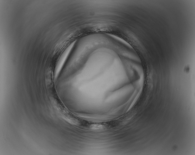 X0000116650169200912291623