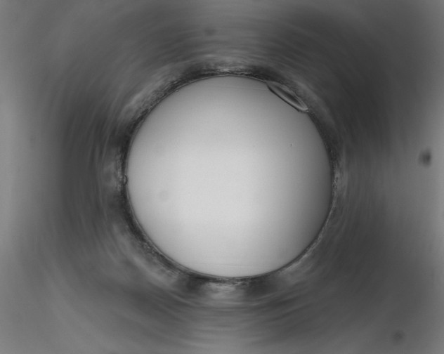 X0000116650170200912291623