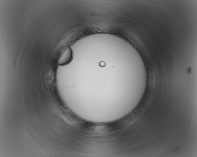 X0000116650173200912291624