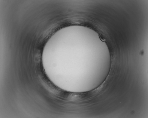 X0000116650174200912291624