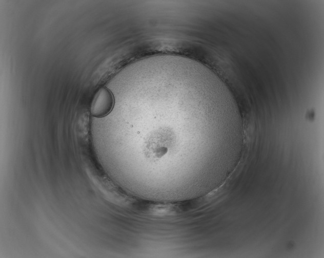 X0000116650175200912291624