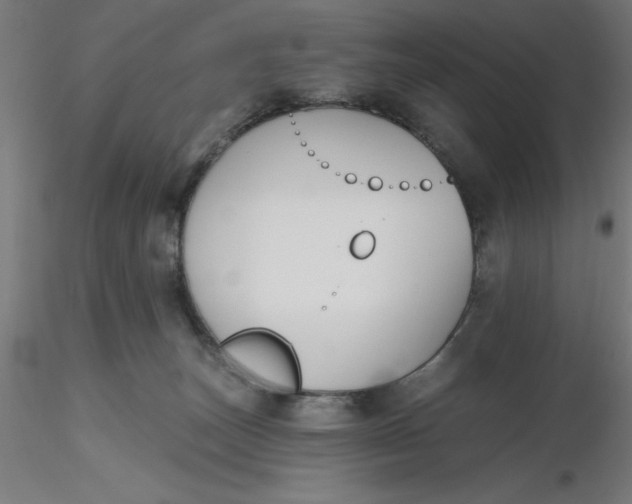 X0000116650179200912291624