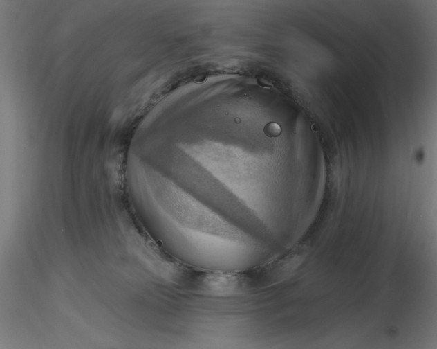 X0000116650181200912291624