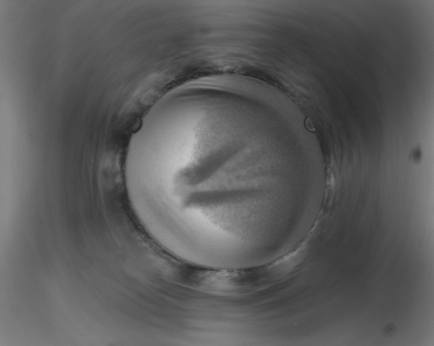 X0000116650182200912291624