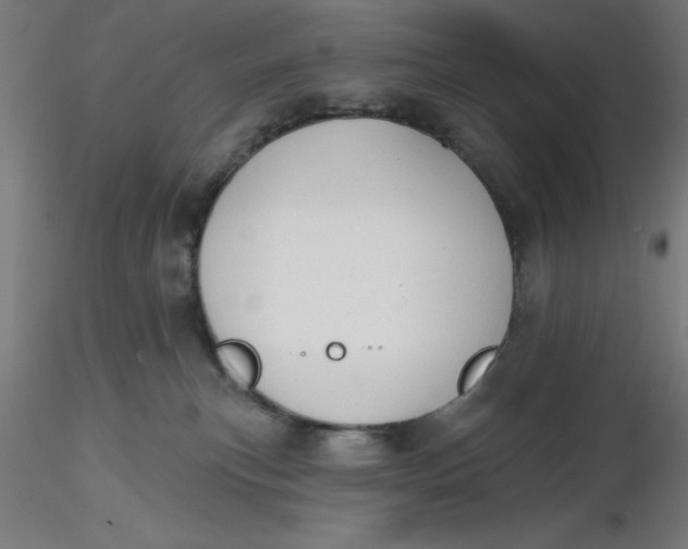 X0000116650183200912291624