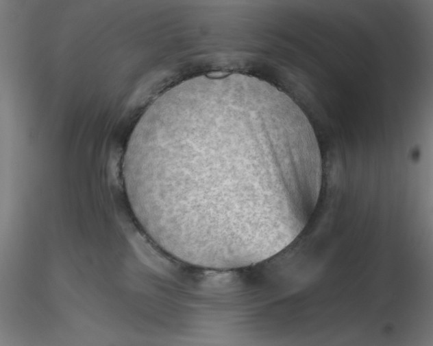 X0000116650185200912291624