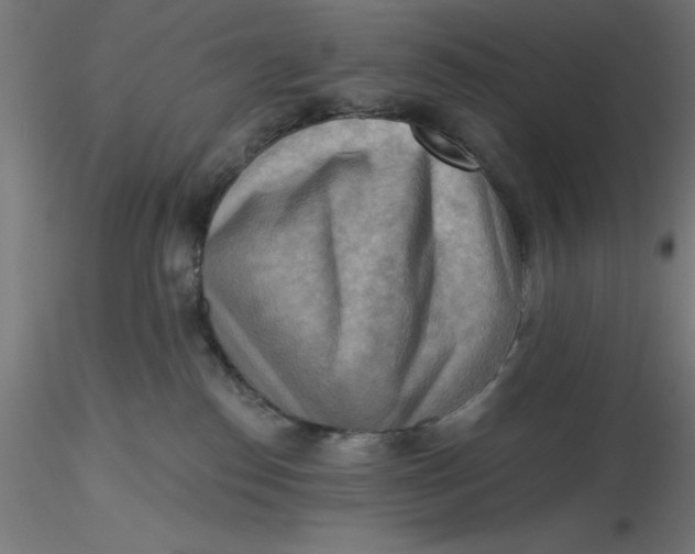 X0000116650186200912291624