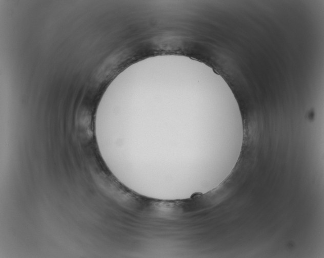 X0000116650187200912291624