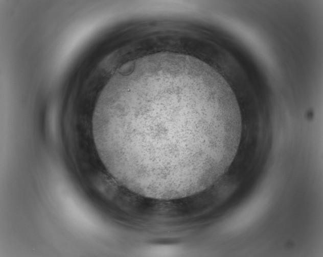 X0000116650189200912291624