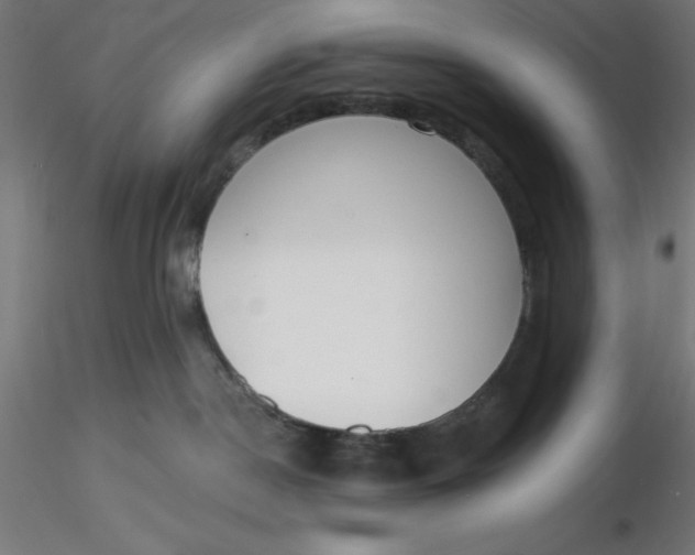 X0000116650190200912291624