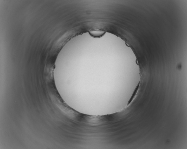 X0000116650191200912291624