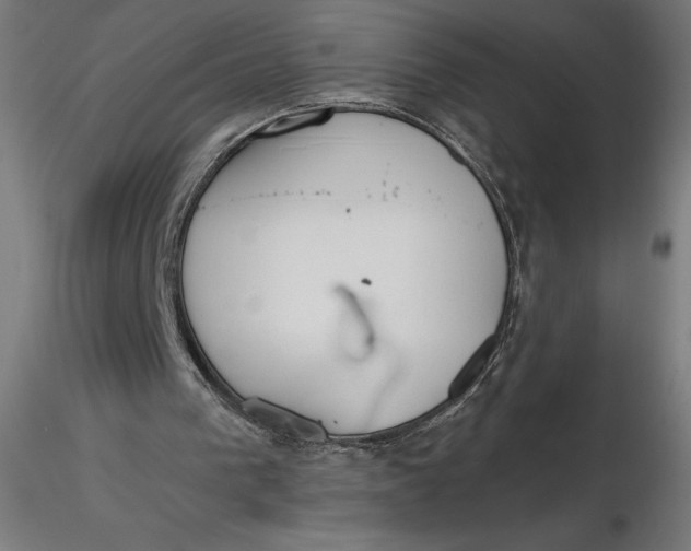 X0000116650193200912291623