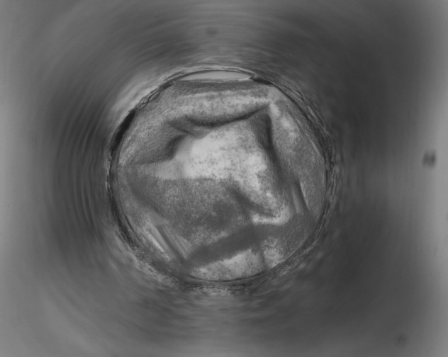 X0000116650194200912291623