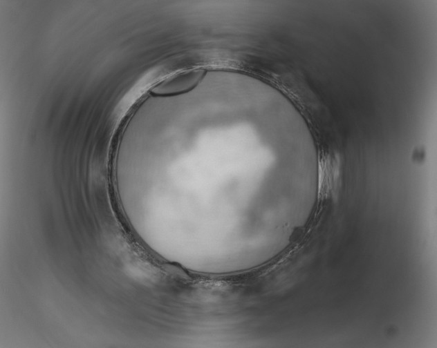 X0000116650195200912291623