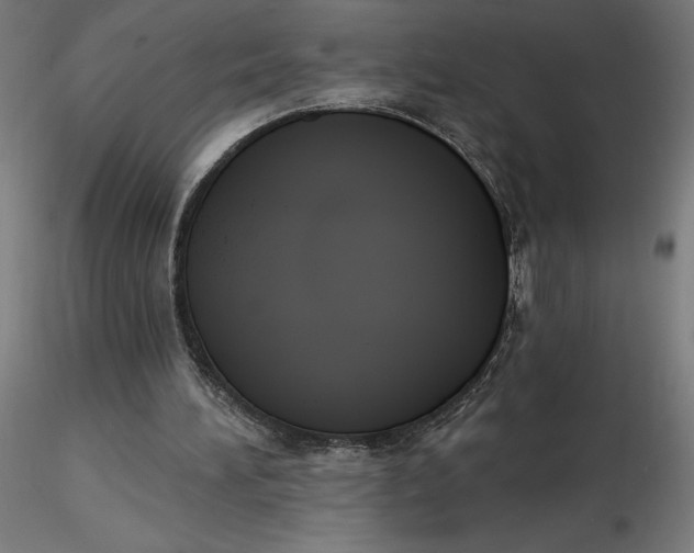 X0000116650196200912291623