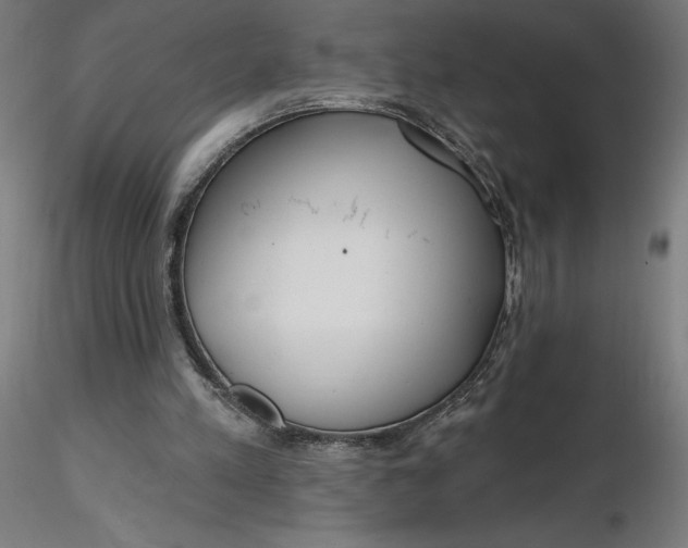 X0000116650197200912291623