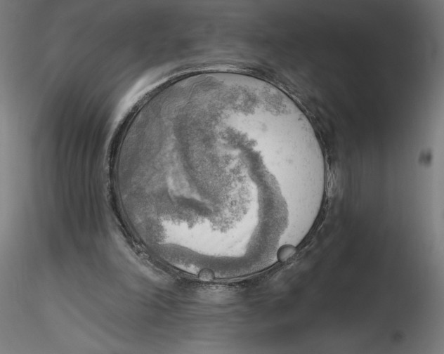 X0000116650198200912291623