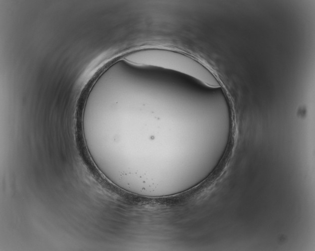 X0000116650199200912291623